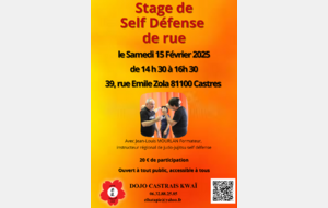 Self défense de rue avec Jean Louis MOURLAN le samedi 15 Février 2025 à 14h30